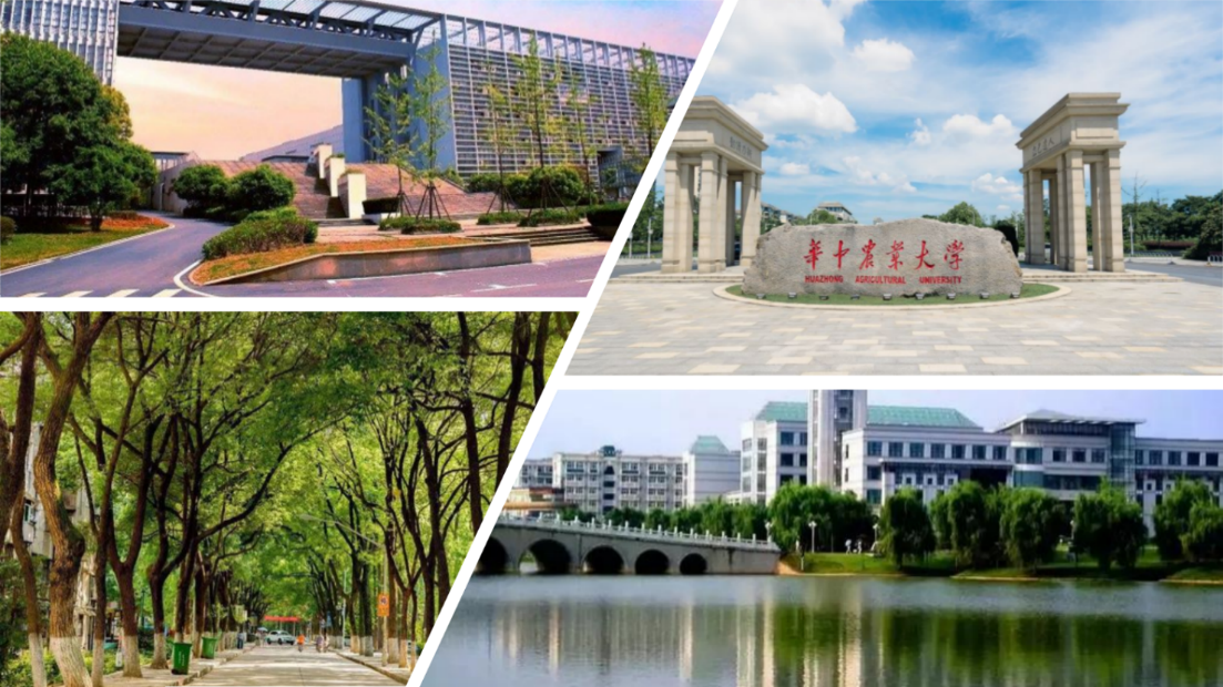 Dr. Haizhou Wu Joins Huazhong Agricultural University as Full Professor