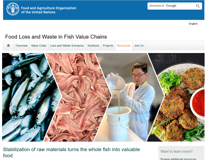 Prof. Haizhou Wu’s Research on Fish By-Product Valorization Featured by&nbsp;FAO