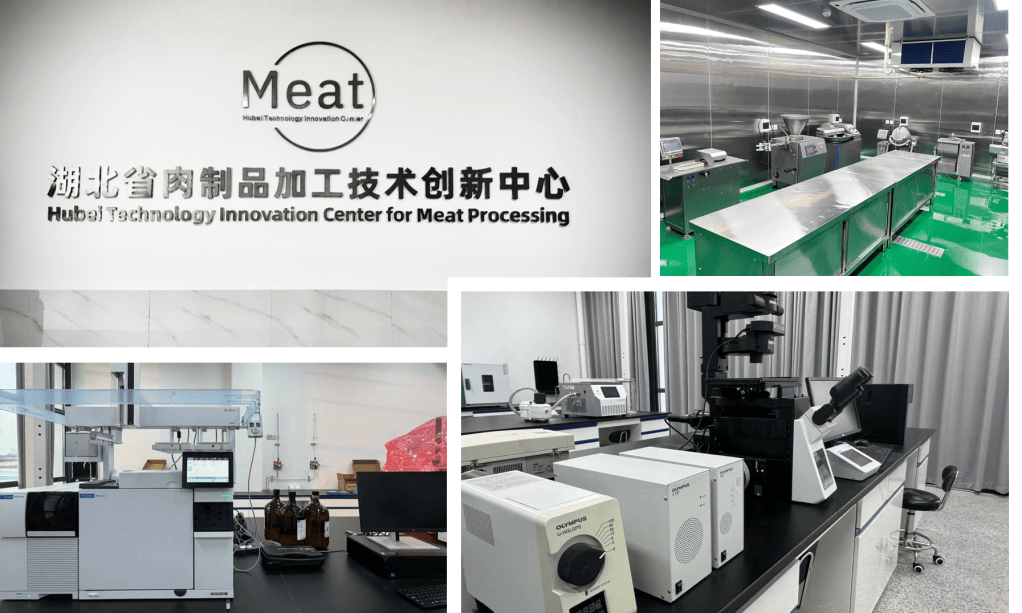 Hubei Technology Innovation Center for Meat Processing Approved, Led by Prof. Haizhou&nbsp;Wu